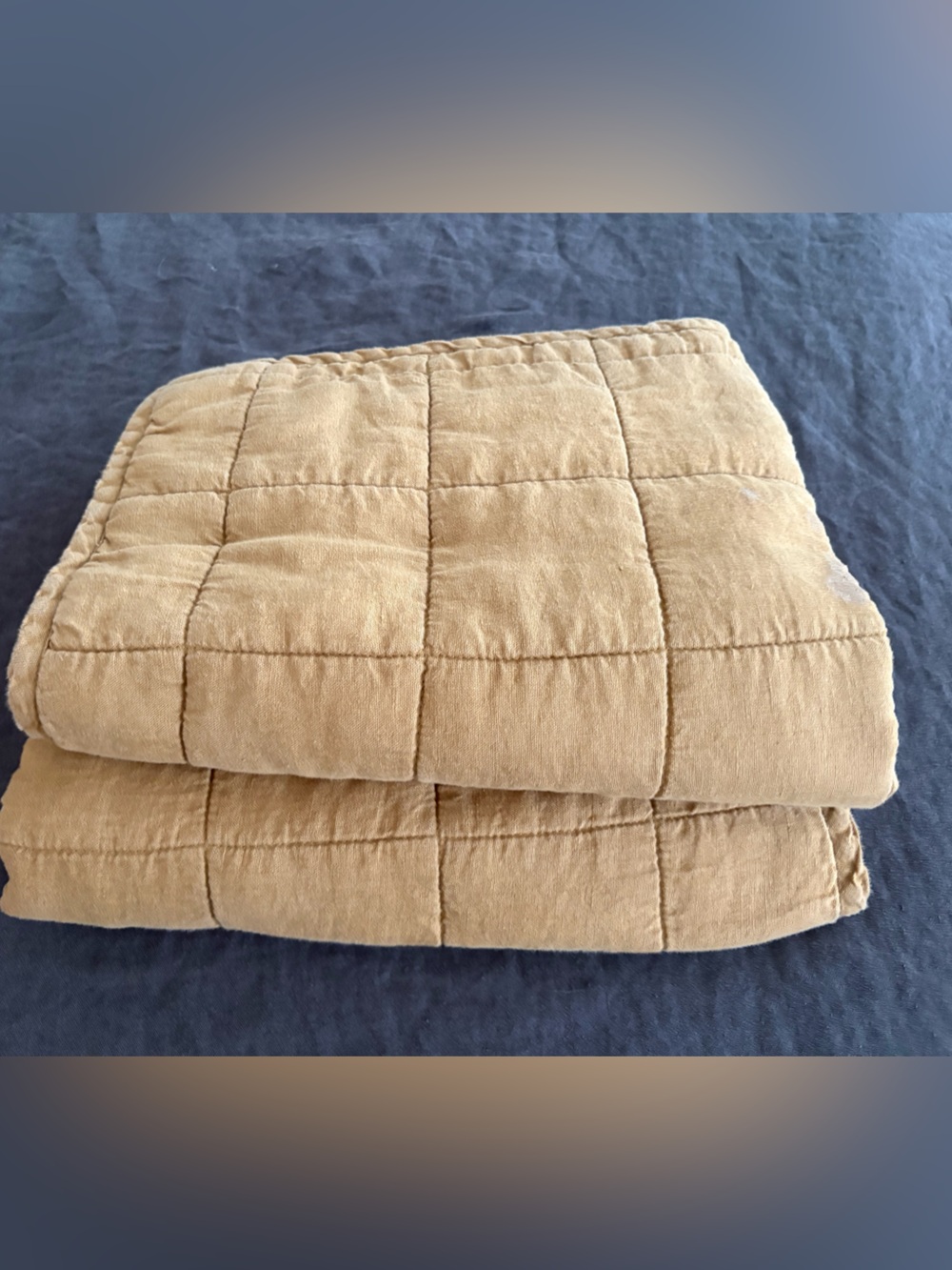 Quince Quilted Pair of Shams in Tabacco